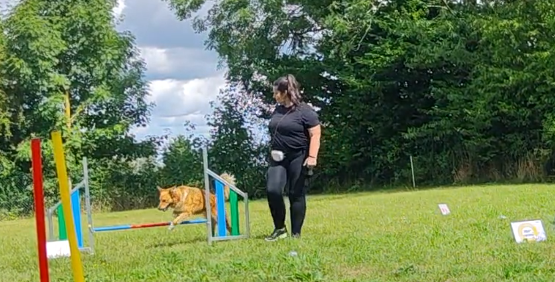 Rally obedience